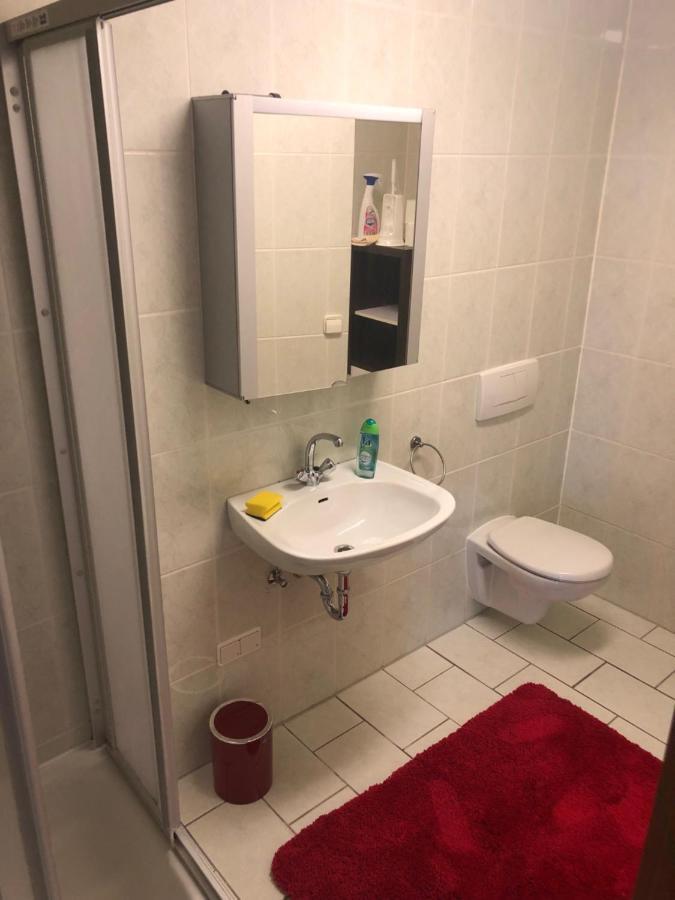 1-Zimmer Apartment, 45 Qm, Im Weinort Neustadt-Duttweiler Neustadt an der Weinstraße 外观 照片