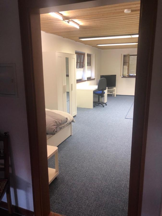 1-Zimmer Apartment, 45 Qm, Im Weinort Neustadt-Duttweiler Neustadt an der Weinstraße 外观 照片