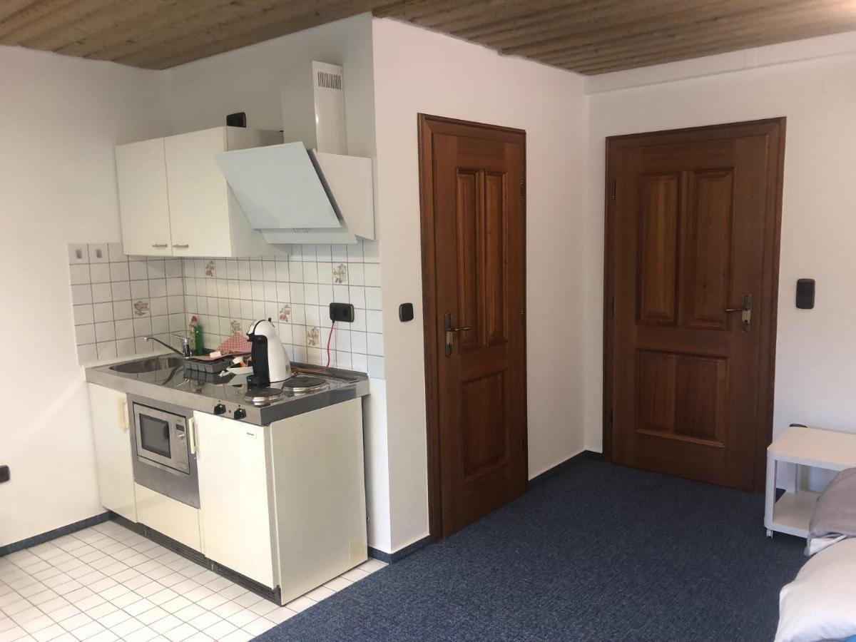 1-Zimmer Apartment, 45 Qm, Im Weinort Neustadt-Duttweiler Neustadt an der Weinstraße 外观 照片