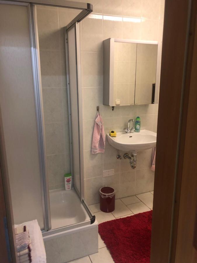 1-Zimmer Apartment, 45 Qm, Im Weinort Neustadt-Duttweiler Neustadt an der Weinstraße 外观 照片