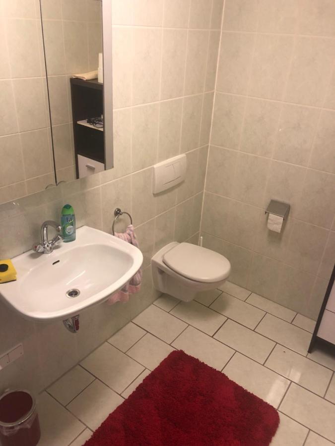 1-Zimmer Apartment, 45 Qm, Im Weinort Neustadt-Duttweiler Neustadt an der Weinstraße 外观 照片